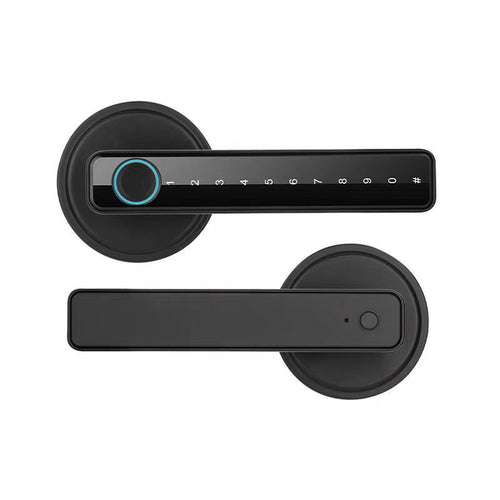 303692921-2